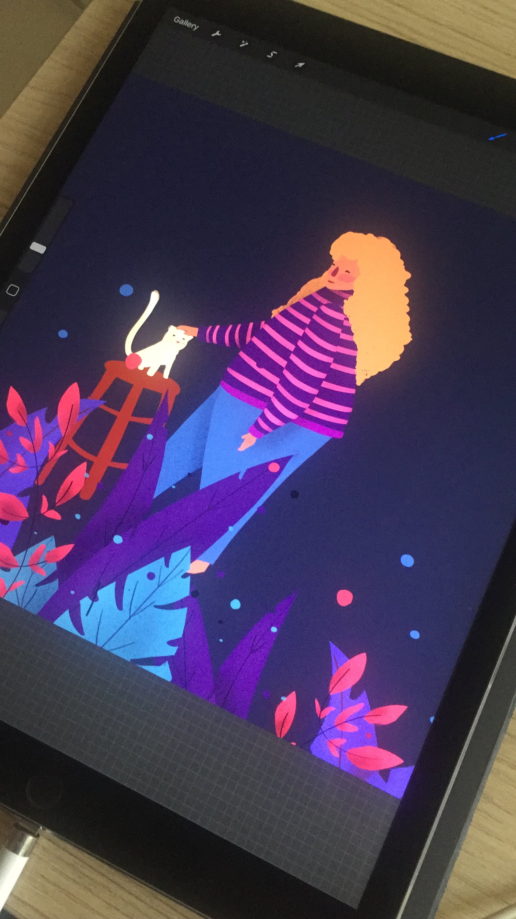 Digital Illustration