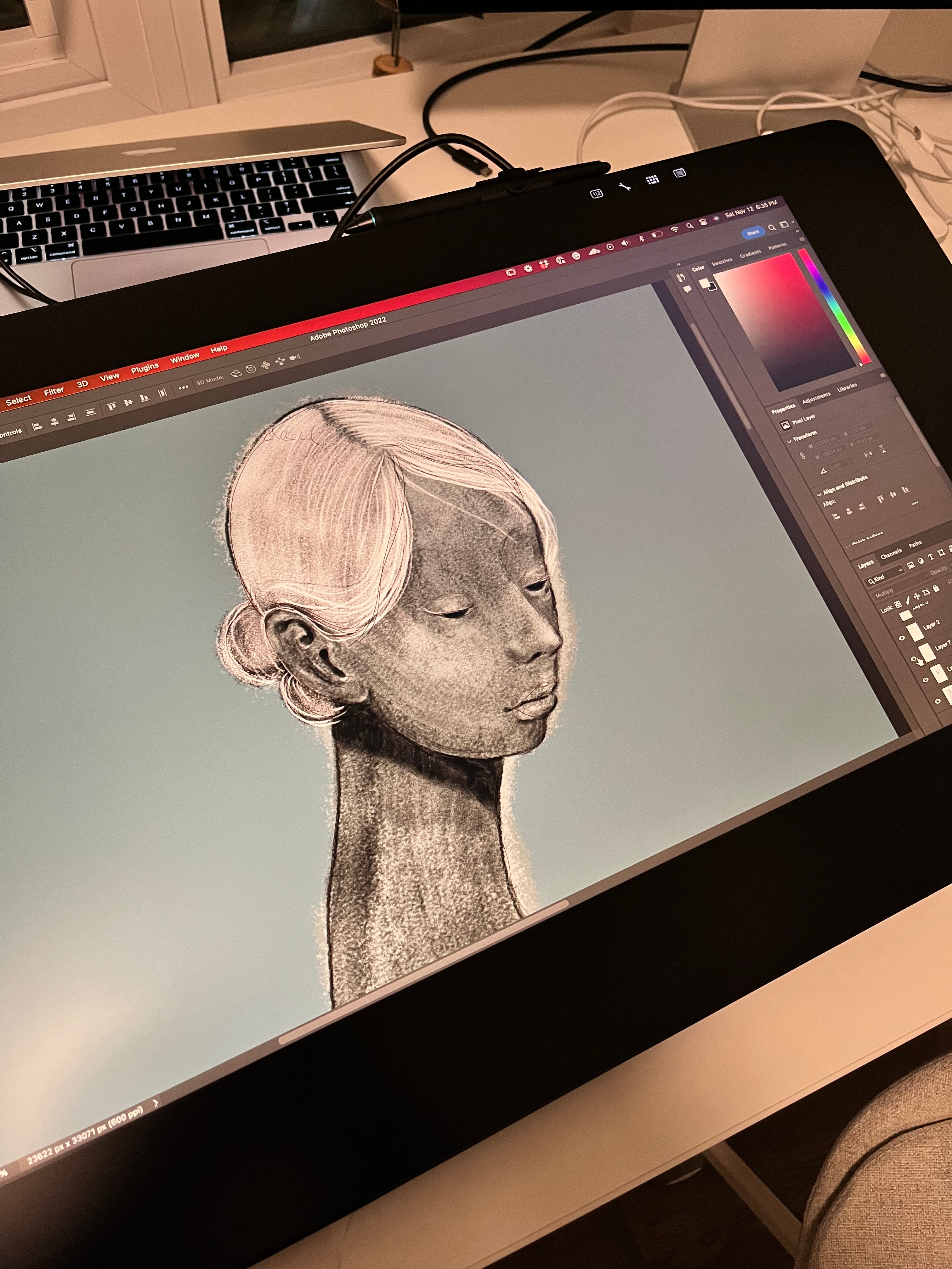 Digital Illustration