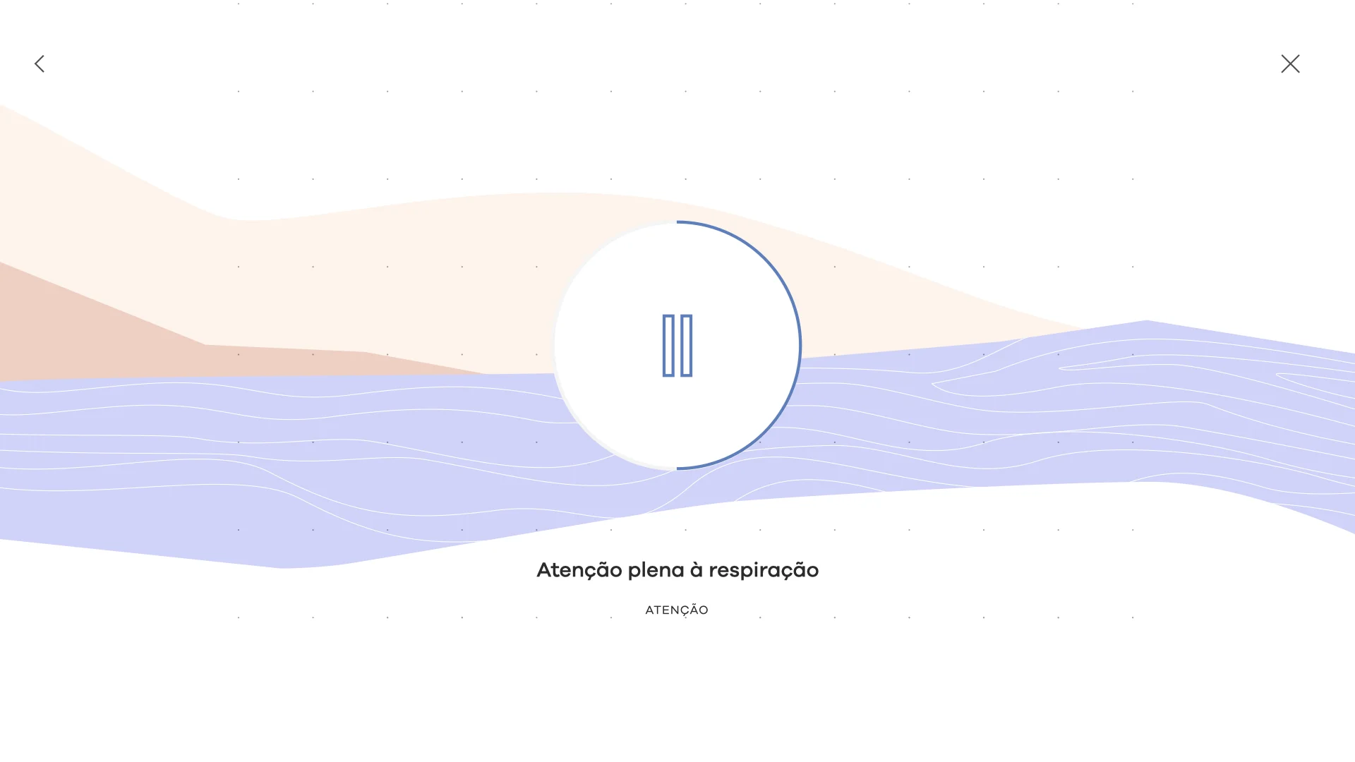 The session player — a single pause control over the brand's waves, nothing else.