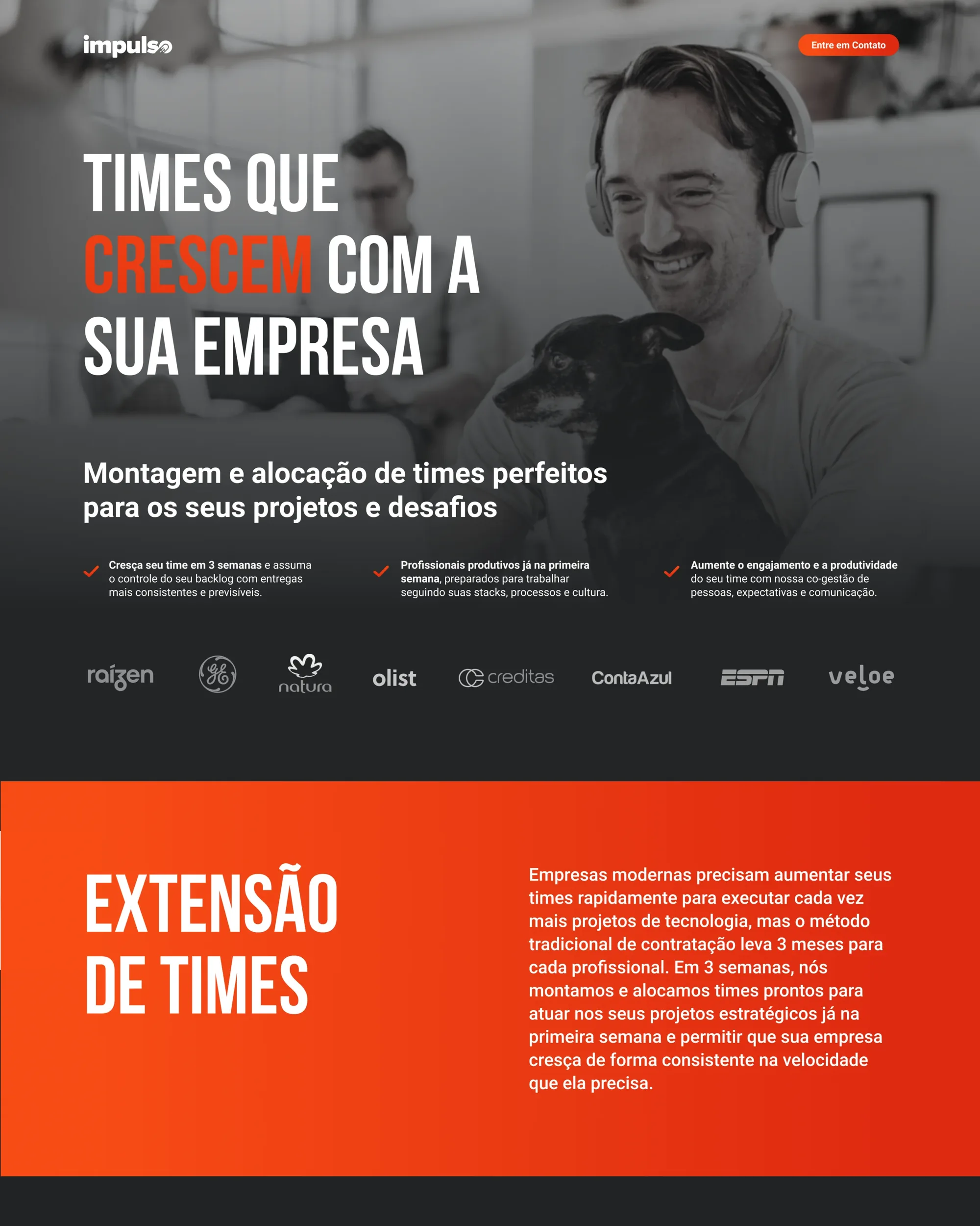Landing page for companies — team extension services.
